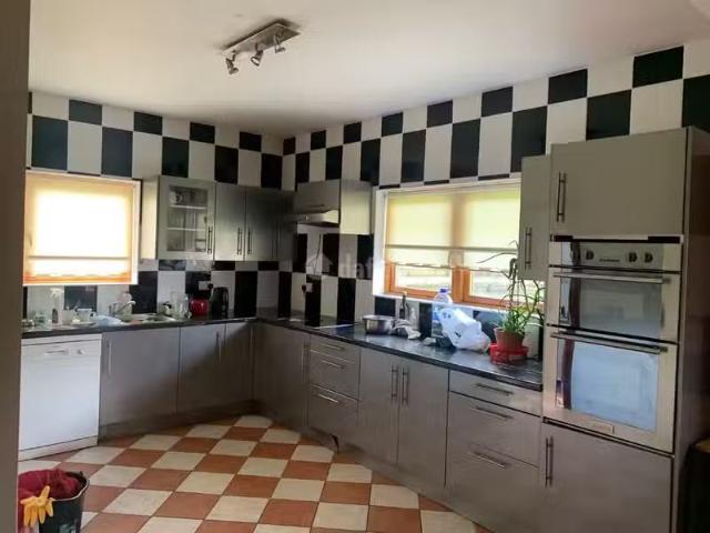 House to rent