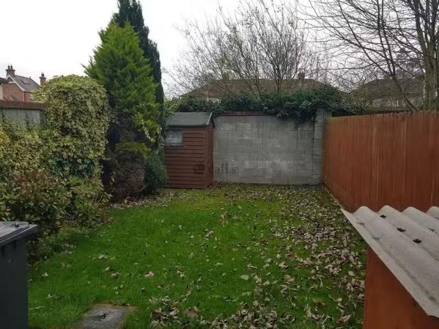 House to rent