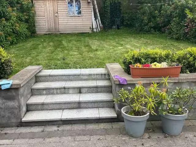 House to rent