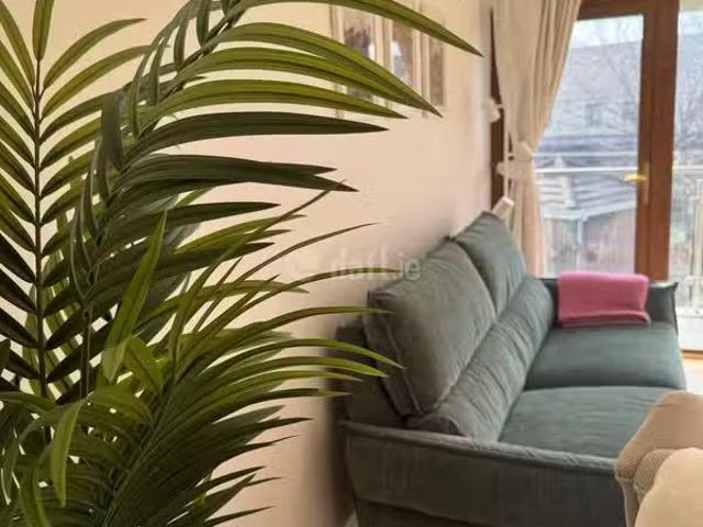 House to rent