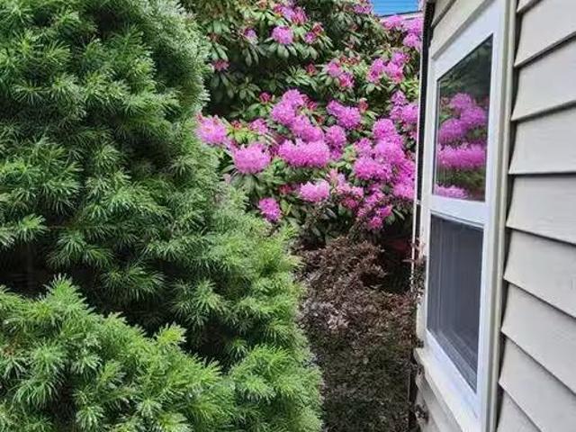 House for rent in Fairview, Nova Scotia