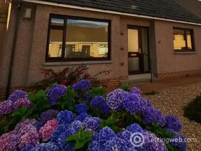 House for rent
