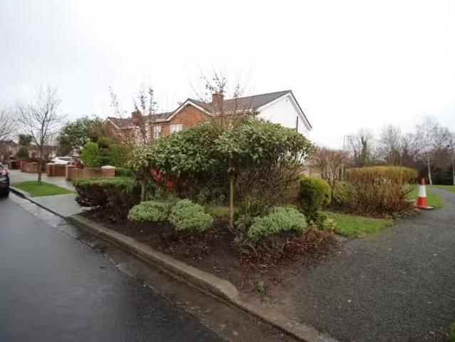House to rent