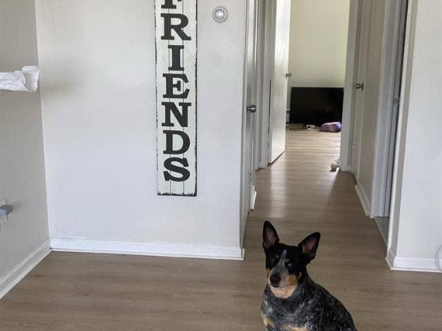 Room for rent in Atlantic City, New Jersey