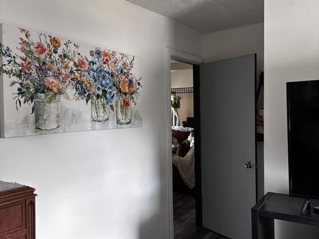 Room for rent in Monee, Will County