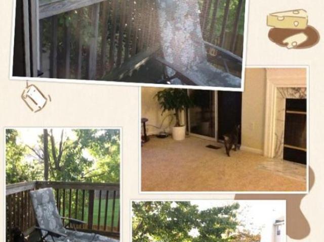 Room for rent in Greenbelt, Maryland