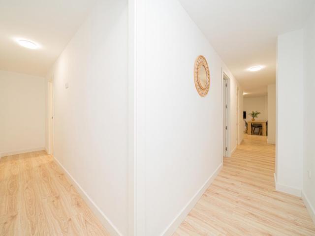 Apartamento en alquiler en Elche, el Pla de Sant Josep