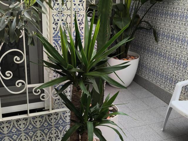 Apartamento en alquiler en Districte 4, Barcelonès