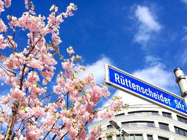 Apartment mieten in Rüttenscheid, Essen
