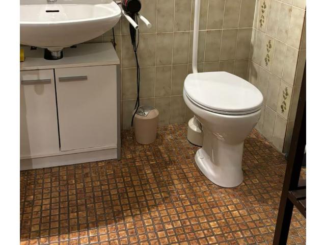 Apartment mieten in Pasing-Obermenzing, München