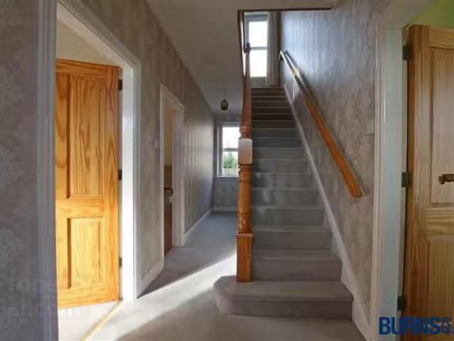 House to rent