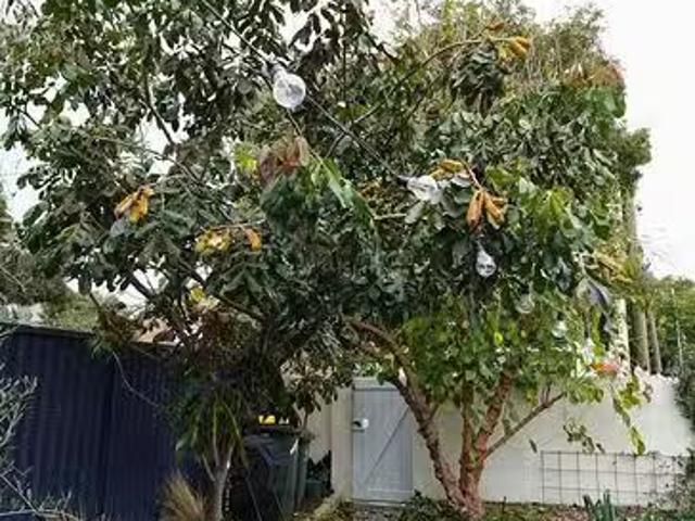 House for rent in North Perth, Western Australia