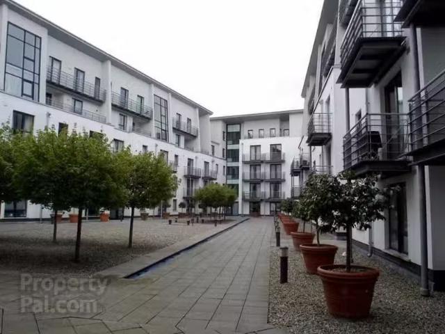 Apartment to rent