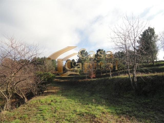 Terreno venda em Vila Real