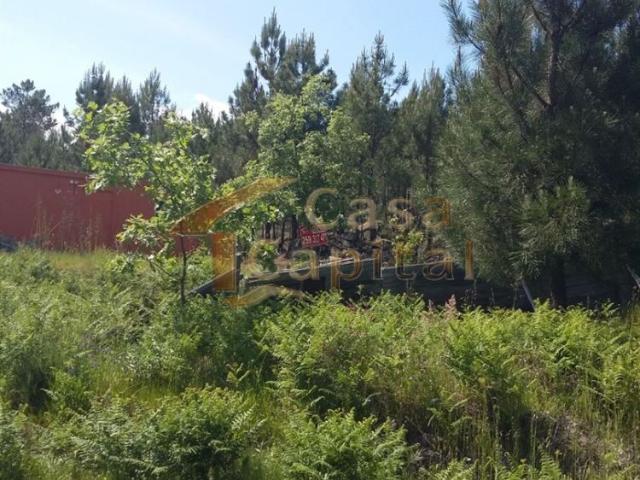 Terreno venda em Vila Real