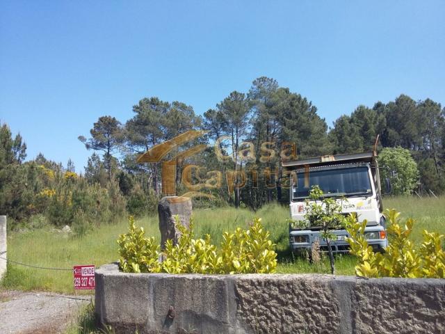 Terreno venda em Vila Real