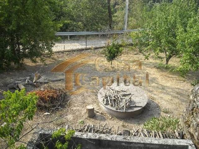 Terreno venda em Vila Real