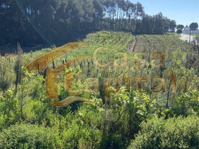 Terreno venda em Sabrosa, Vila Real