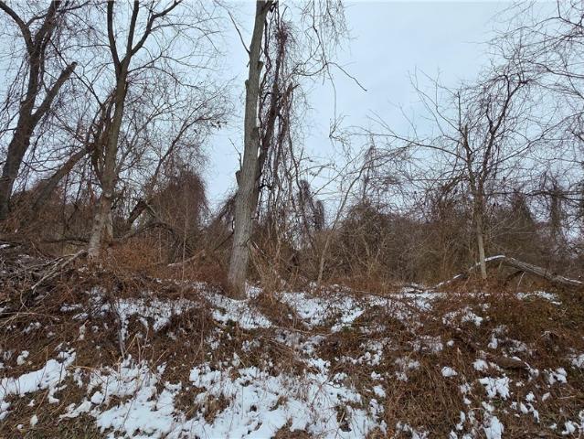 Land for sale in Belmont, Ohio