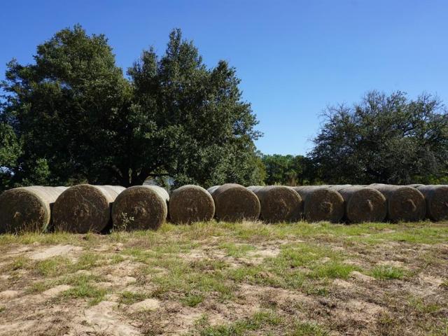 Land for sale in Morris, Texas