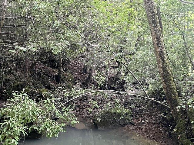 Land for sale in Strunk, Kentucky