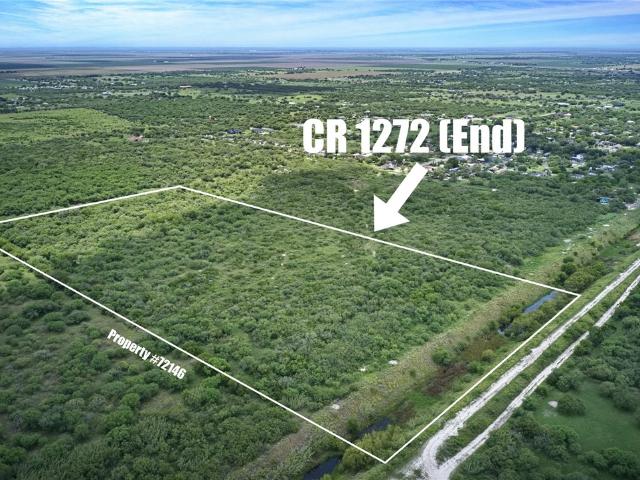 Land for sale in San Patricio, Texas
