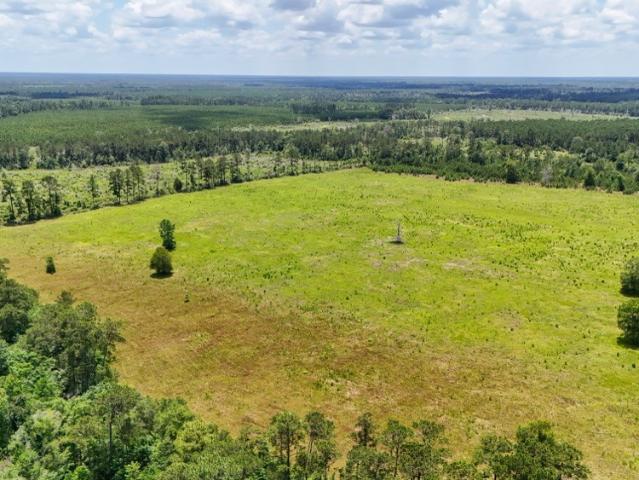 Land for sale in Hillister, Texas