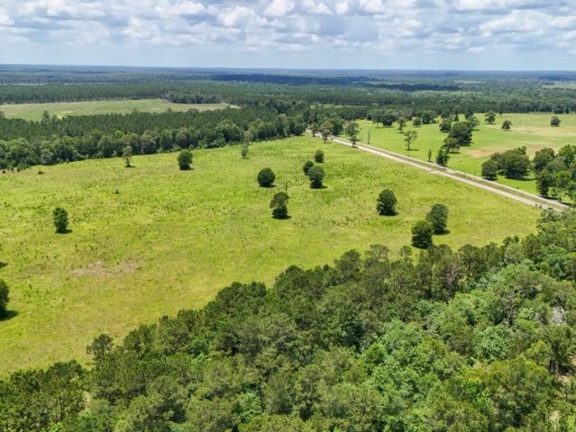Land for sale in Hillister, Texas