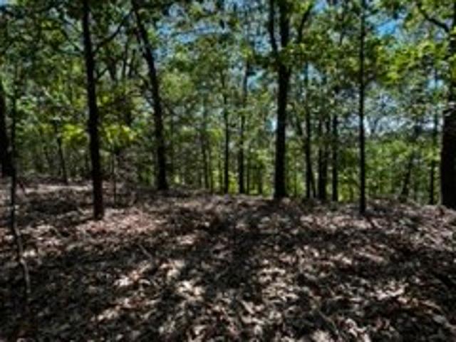 Land for sale in Ark
