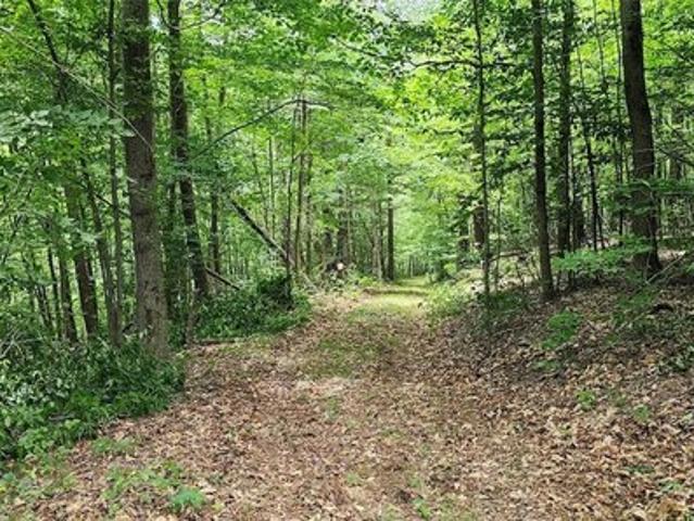 Land for sale in New York
