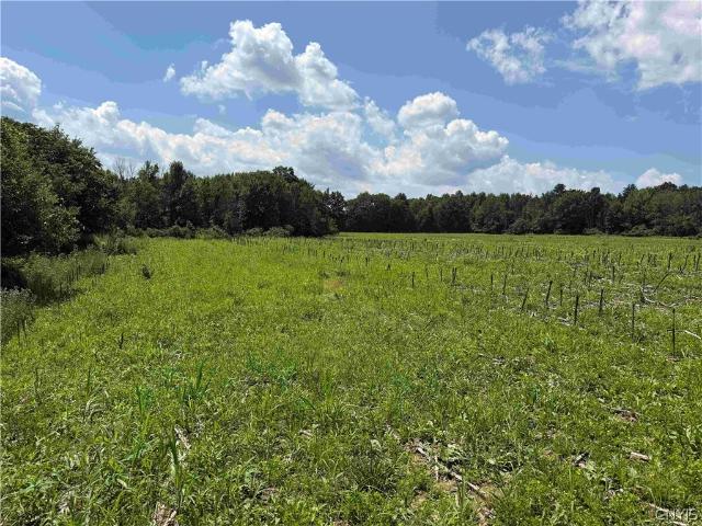 Land for sale in Belfast, New York