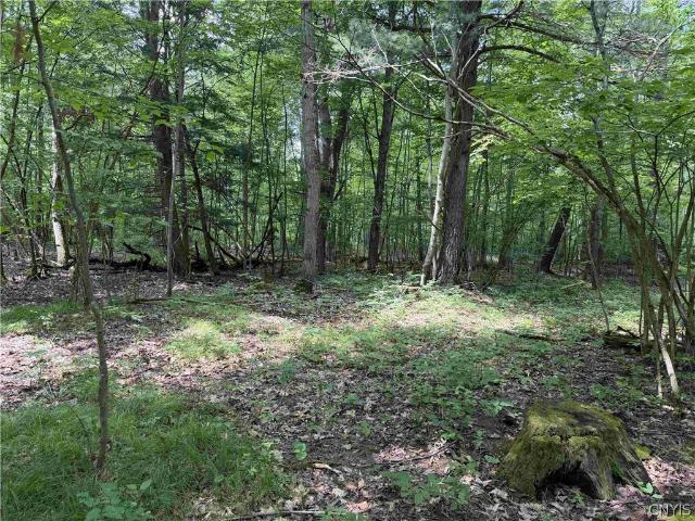 Land for sale in Belfast, New York