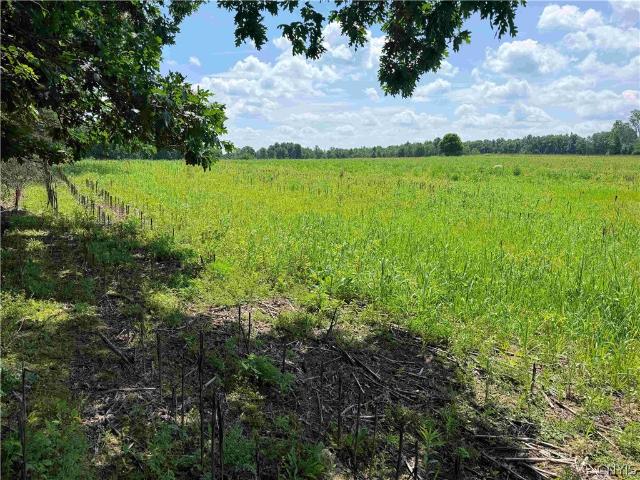 Land for sale in Belfast, New York