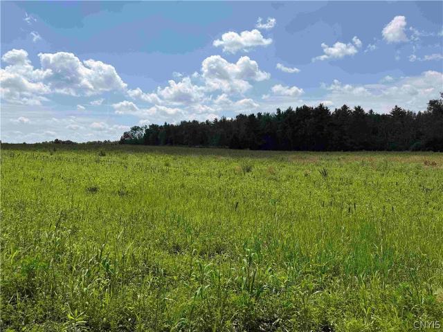 Land for sale in Belfast, New York