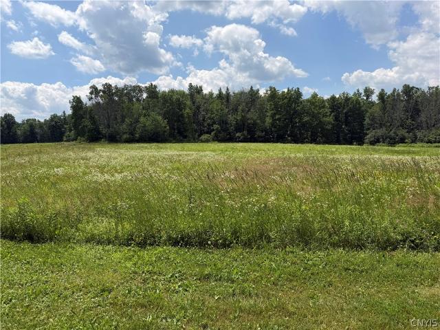 Land for sale in Belfast, New York