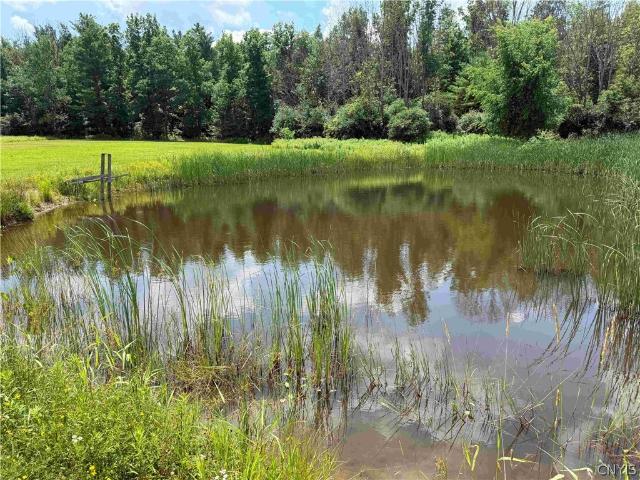 Land for sale in Belfast, New York