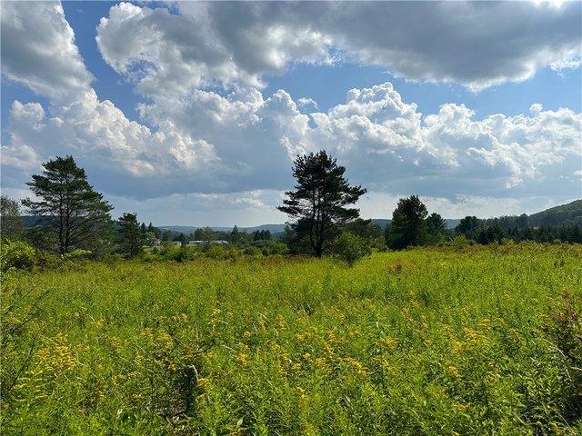 Land for sale in Friendship, New York