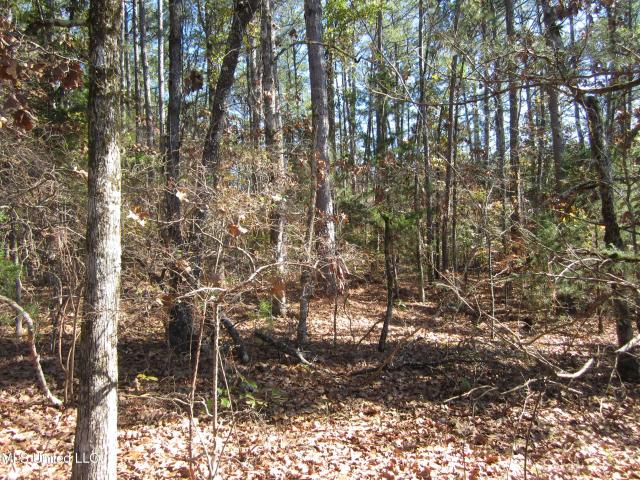 Land for sale in Mississippi