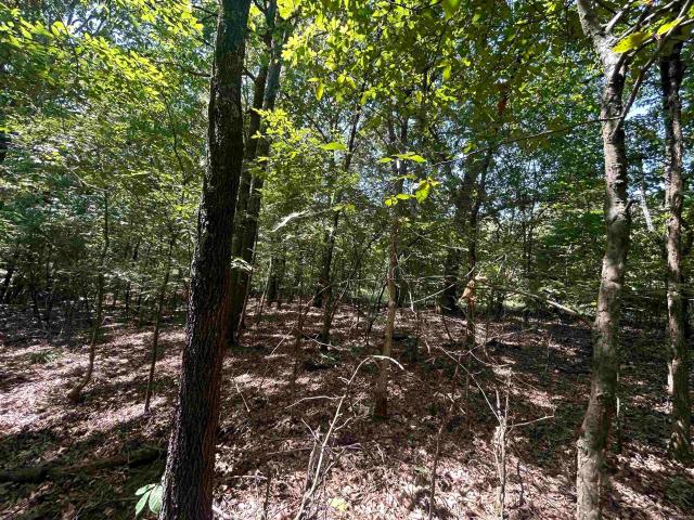 Land for sale in Ark