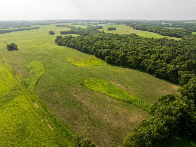 Land for sale in Hale, Missouri