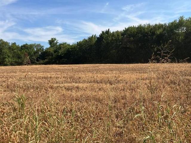 Land for sale in Honey Grove, Fannin County