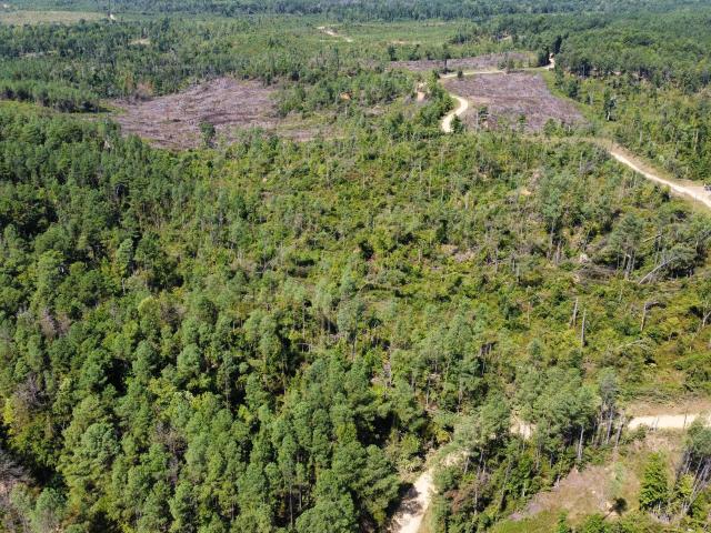 Land for sale in Kosciusko, Attala County