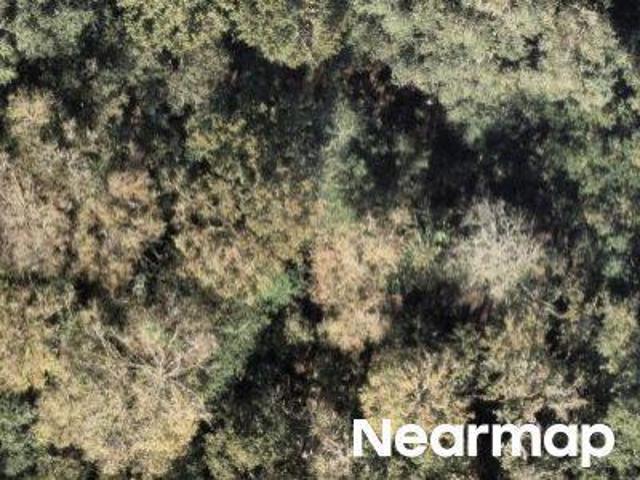 House for sale in Lake Panasoffkee, Florida