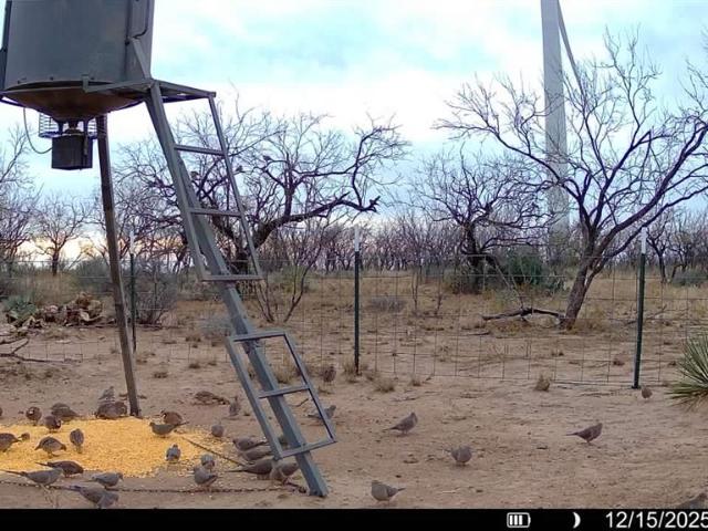 Land for sale in Fisher, Texas