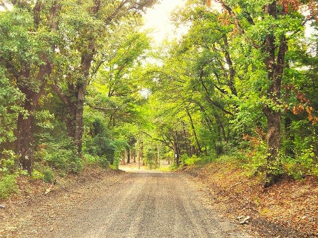 Land for sale in Henderson, Texas