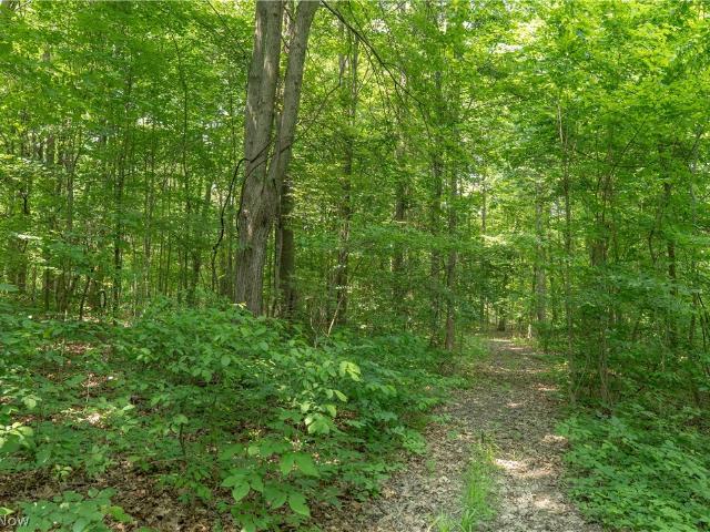 Land for sale in Ashland, Ohio