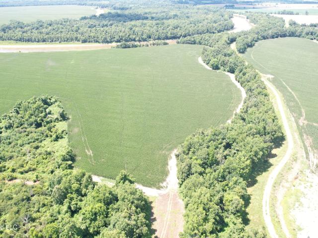 Land for sale in Greenwood, Mississippi