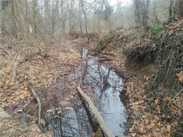 Land for sale in Coshocton, Ohio