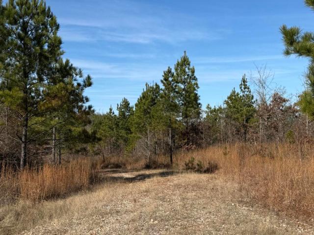 Land for sale in Atlanta, Woodland