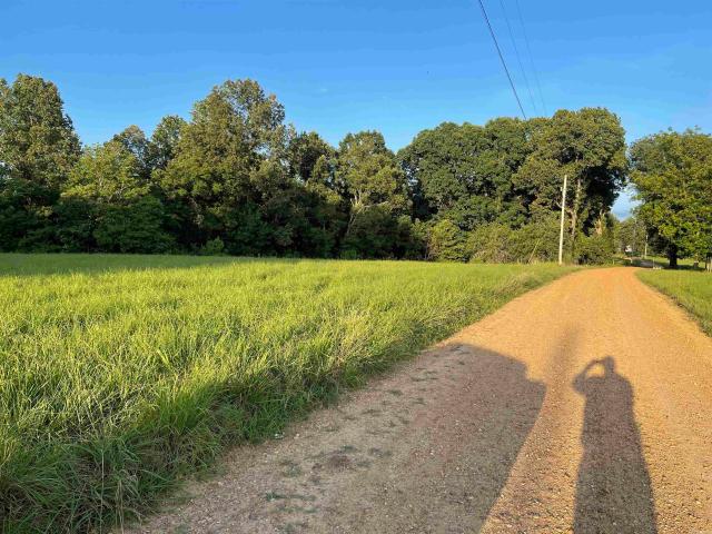 Land for sale in Wynne